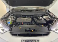 2026 Haval H6 MY25.1 2.0T Gt S-Luxury 4wd Dct